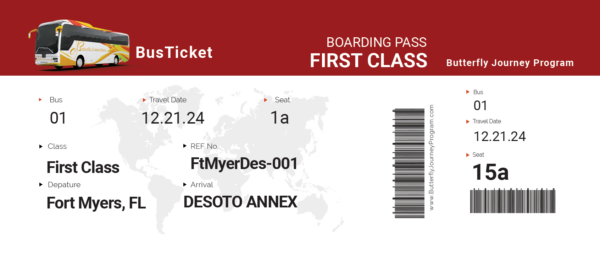 Bus Tickets - Image 3