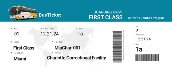 Bus Tickets - Image 5
